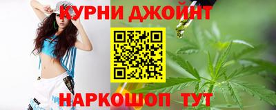 дмт Аргун