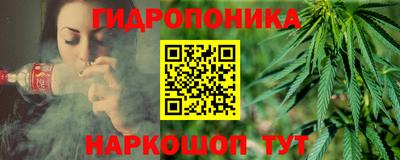 дмт Аргун