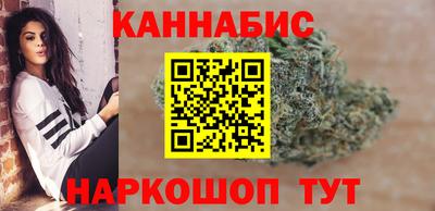 дмт Аргун